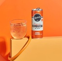 Remedy Kombucha Mango Passion Fruit 250ml