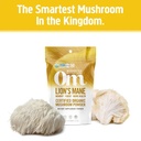 Om Lion's Mane Mushroom Powder 3.5oz