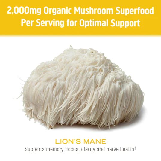 Om Lion's Mane Mushroom Powder 3.5oz
