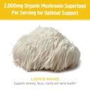 Om Lion's Mane Mushroom Powder 3.5oz