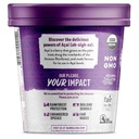 Sambazon Organic Acai Berry Sorbet 16oz