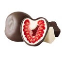 Tru Fru Frozen Raspberries In White & Dark Chocolate 5oz