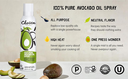 Chosen Foods Avocado Oil Spray 13.5 fl. oz.
