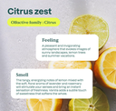 Attitude All Purpose Cleaner Citrus Zest 27 fl. oz.