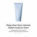 Abib Sedum Hyaluron Deep Clean Foaming Cleanser 150ml