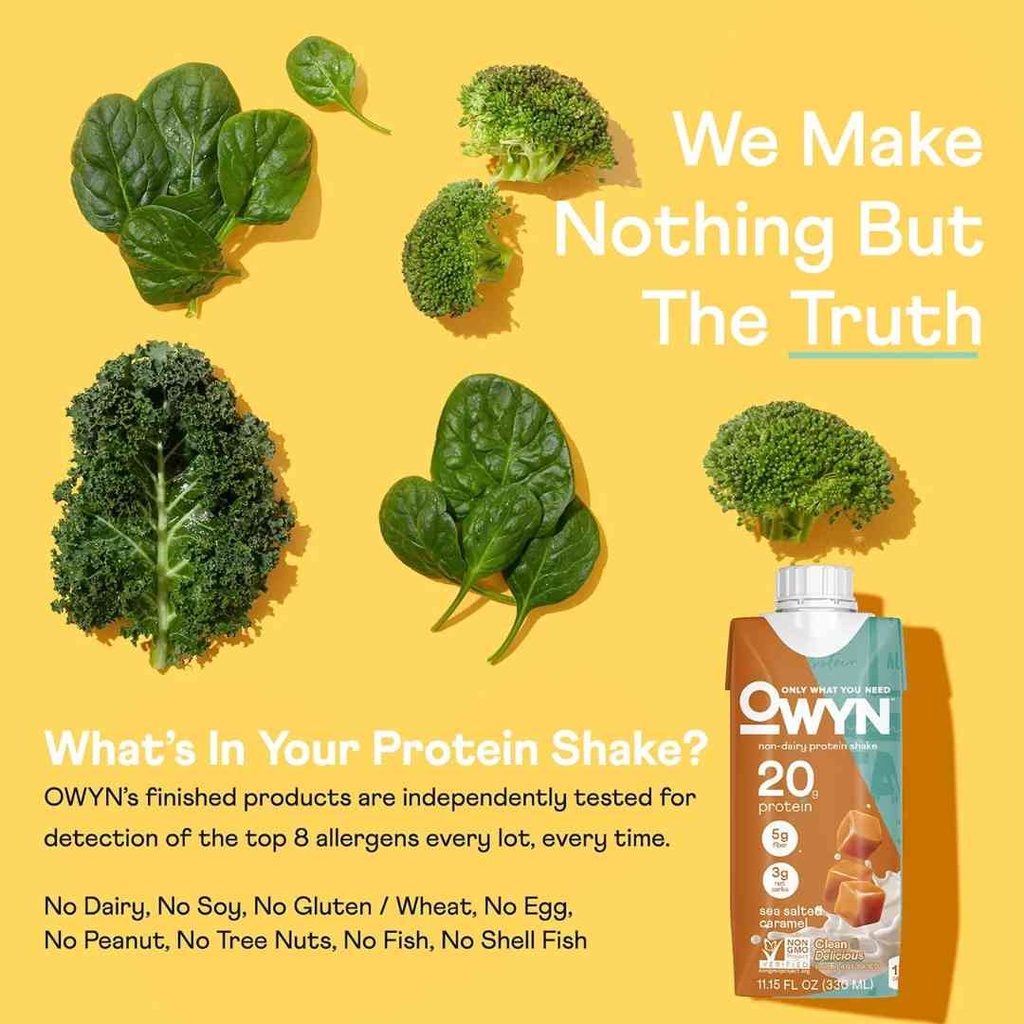 Owyn Plant Based Sea Salted Caramel Protein Shake 11.15oz