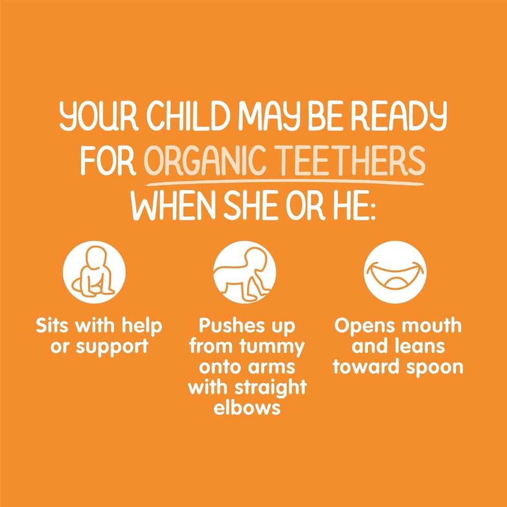 Happy Baby Organic Teether Crackers Sweet Potato And Banana 1.7oz