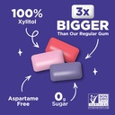 Pur Gum Grape and Watermelon Flavour Gum 20CT