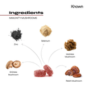 Known Immunity Mushrooms Vegan Gummies 60CT