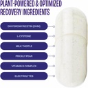 No Days Wasted DHM Detox Recovery Blend 2CT