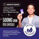 No Days Wasted DHM Detox Recovery Blend 2CT