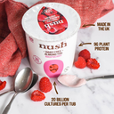 Nush Dairy-Free Raspberry Yoghurt 350g