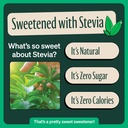 Zevia Organic Sweetened Green Tea Tropical Pineapple 12oz