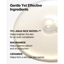 Anua Rice Milky Toner 40ml