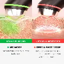 4.webp