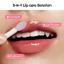 11.webp