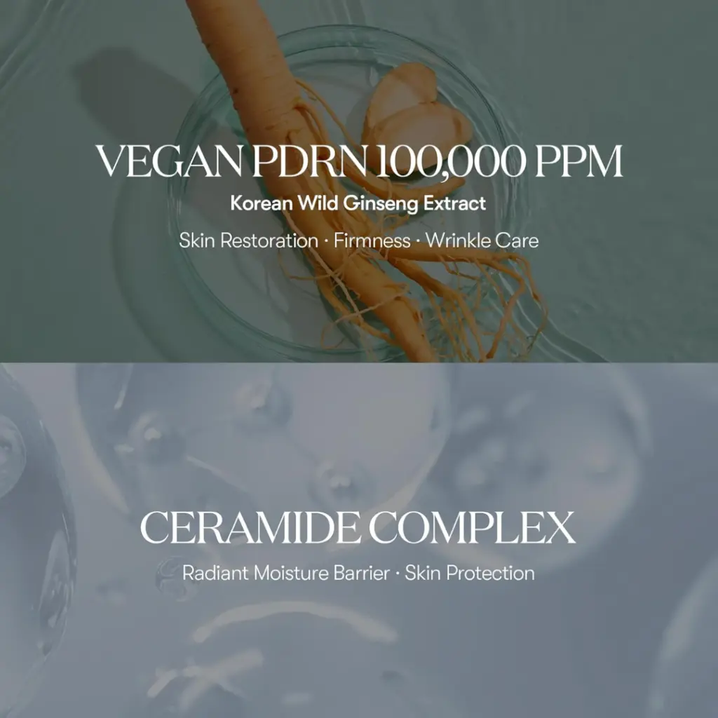 3.webp