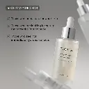 7.webp