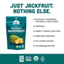 Mavuno Harvest Organic Dried Jackfruit 2oz