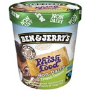 Ben and Jerry's Non Dairy Vegan Phish Food Frozen Dessert