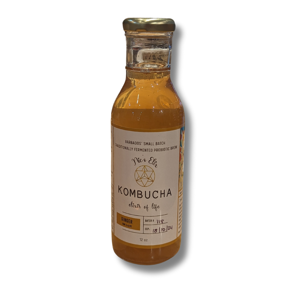 Nix Elix Kombucha Ginger