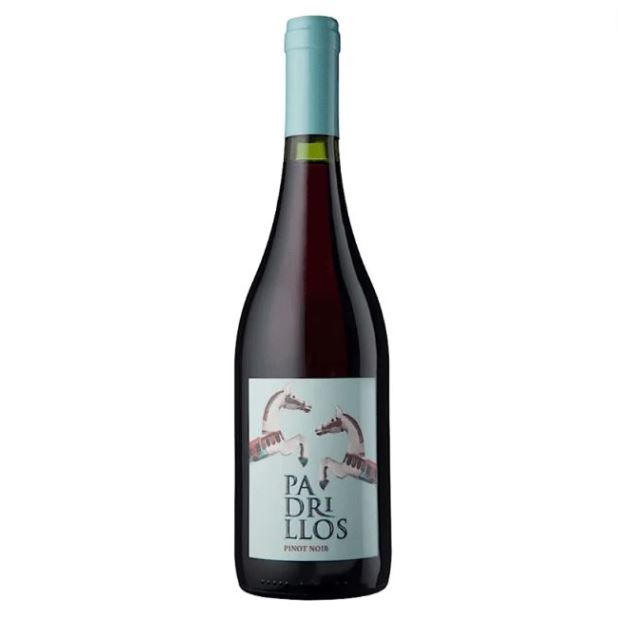 Ernesto Catena Padrillos Pinot Noir 750ml