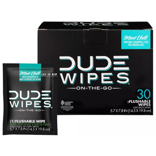 [206720-BB] Dude Wipes Mint Chill 30ct