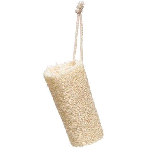 [207036-BB] Loofah Brush Natural
