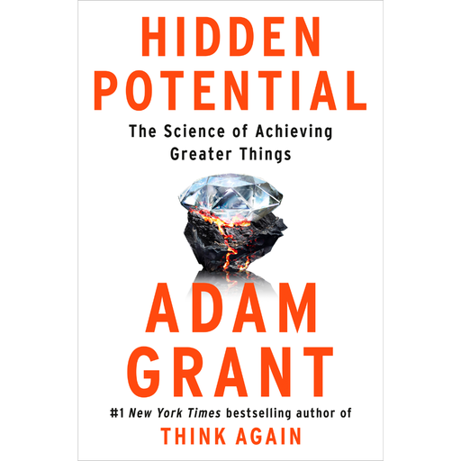 [208988-BB] Hidden Potential