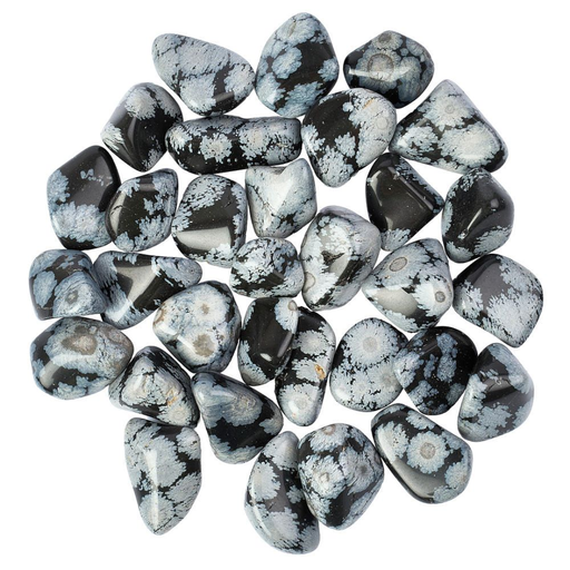 [209097-BB] Snowflake Obsidian Medium Tumblestone 20-30mm