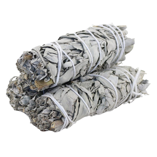[209253-BB] California White Sage Bundle 3-4in