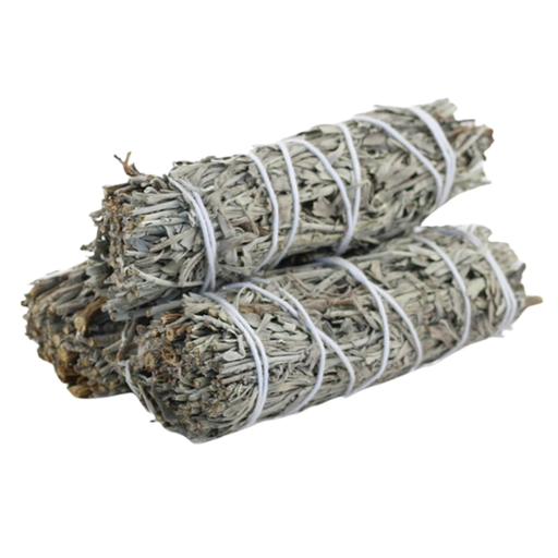 [209255-BB] Blue Sage Bundle 4in