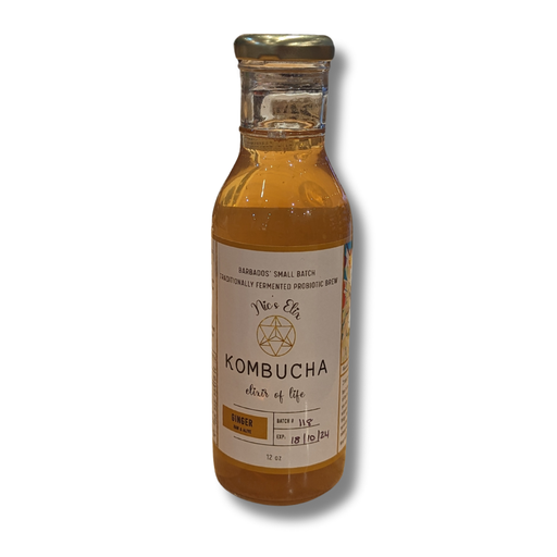[204819-BB] Nix Elix Kombucha Ginger